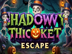Game Shadowy Thicket Escape