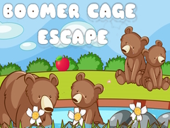 Game Boomer Cage Escape