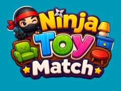 Game Ninja Toy Match
