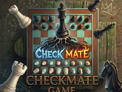 Game Checkmate Game