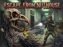 Game Escape from nuthouse 