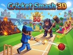 Game Cricket Smash 3D