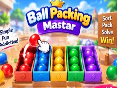 Game Packing Master Puzzle