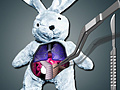 Game Save The Bunny