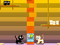 Game Swing Cat