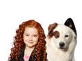 Game Dog jeung Blog a 