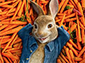 Game Peter Rabbit 
