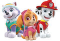 kaulinan paw Patrol 