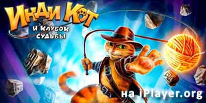 Cat Indy 